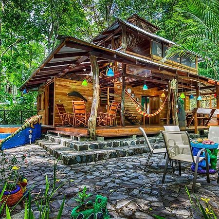 Congo Bongo Ecovillage Costa Rica Puerto Viejo de Talamanca المظهر الخارجي الصورة