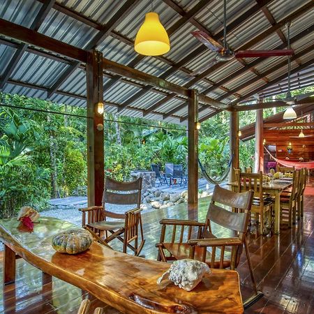 Congo Bongo Ecovillage Costa Rica Puerto Viejo de Talamanca المظهر الخارجي الصورة
