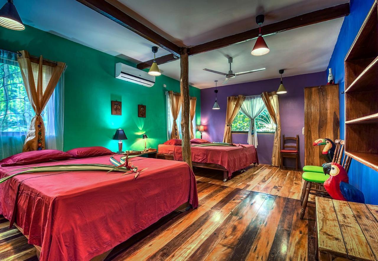 Congo Bongo Ecovillage Costa Rica Puerto Viejo de Talamanca المظهر الخارجي الصورة