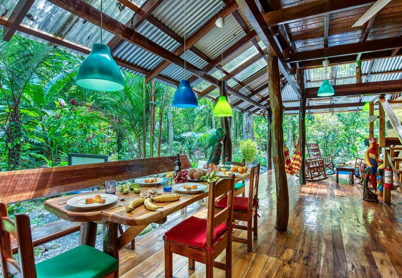 Congo Bongo Ecovillage Costa Rica Puerto Viejo de Talamanca المظهر الخارجي الصورة