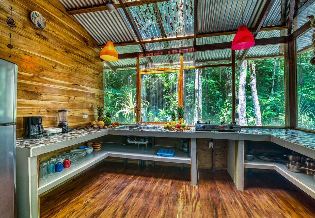 Congo Bongo Ecovillage Costa Rica Puerto Viejo de Talamanca المظهر الخارجي الصورة