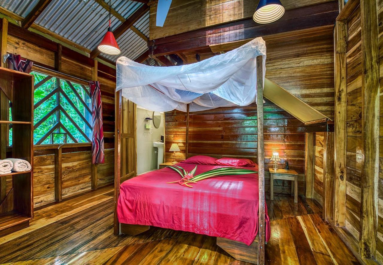 Congo Bongo Ecovillage Costa Rica Puerto Viejo de Talamanca المظهر الخارجي الصورة
