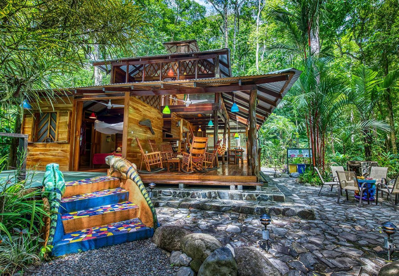 Congo Bongo Ecovillage Costa Rica Puerto Viejo de Talamanca المظهر الخارجي الصورة