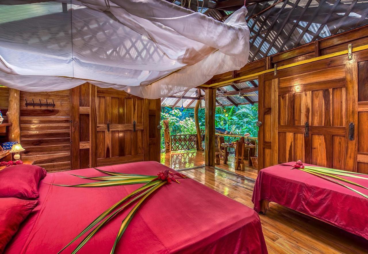 Congo Bongo Ecovillage Costa Rica Puerto Viejo de Talamanca المظهر الخارجي الصورة