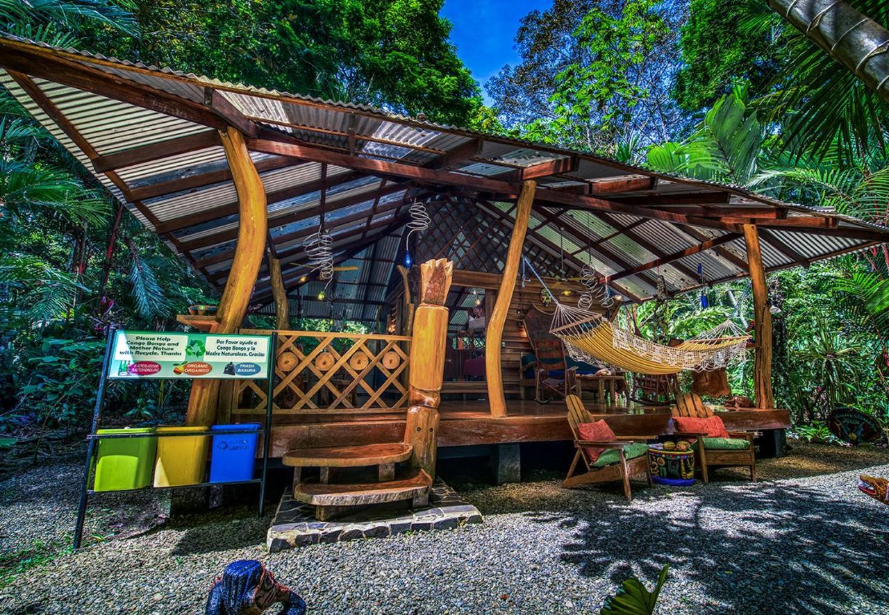 Congo Bongo Ecovillage Costa Rica Puerto Viejo de Talamanca المظهر الخارجي الصورة
