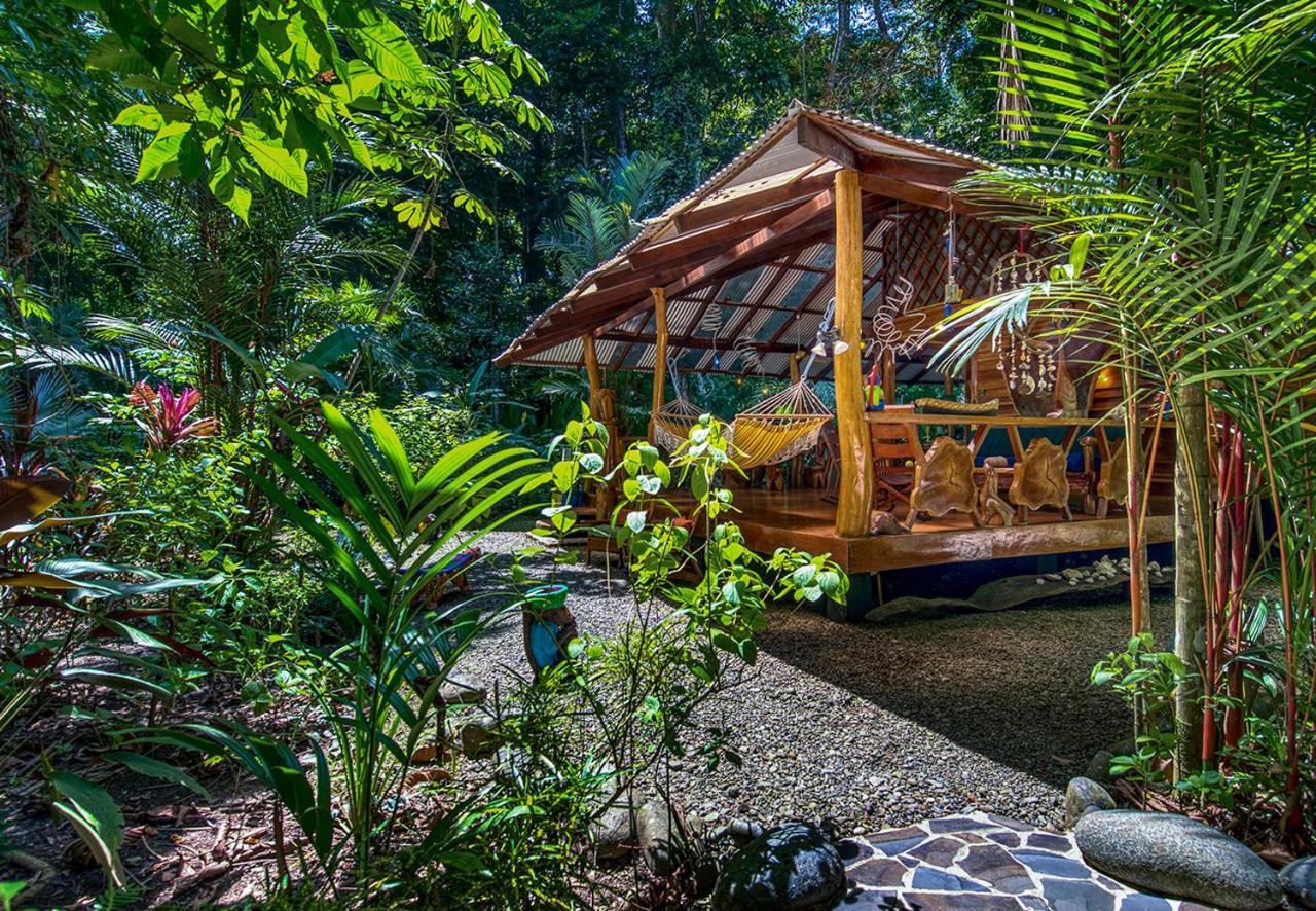 Congo Bongo Ecovillage Costa Rica Puerto Viejo de Talamanca المظهر الخارجي الصورة