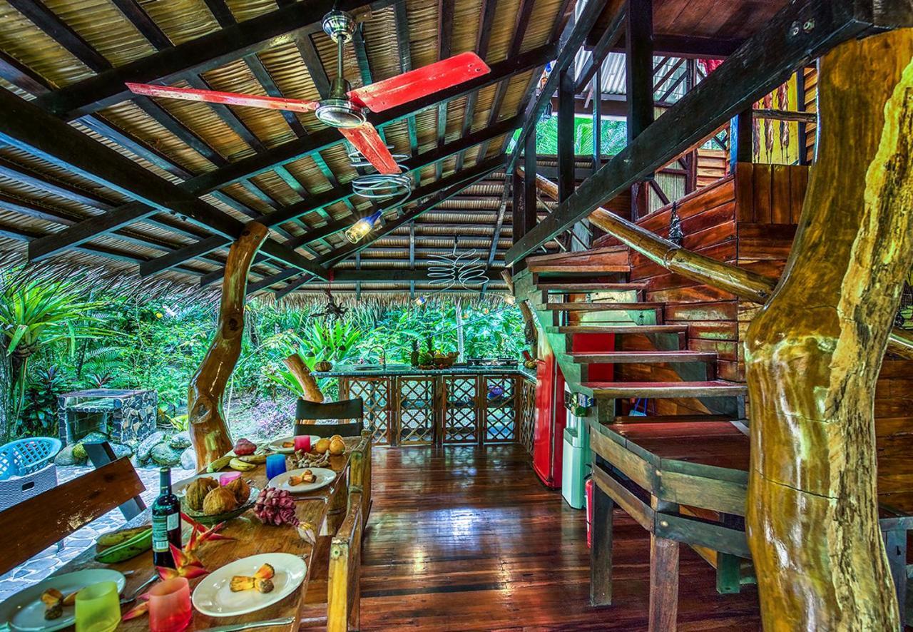 Congo Bongo Ecovillage Costa Rica Puerto Viejo de Talamanca المظهر الخارجي الصورة