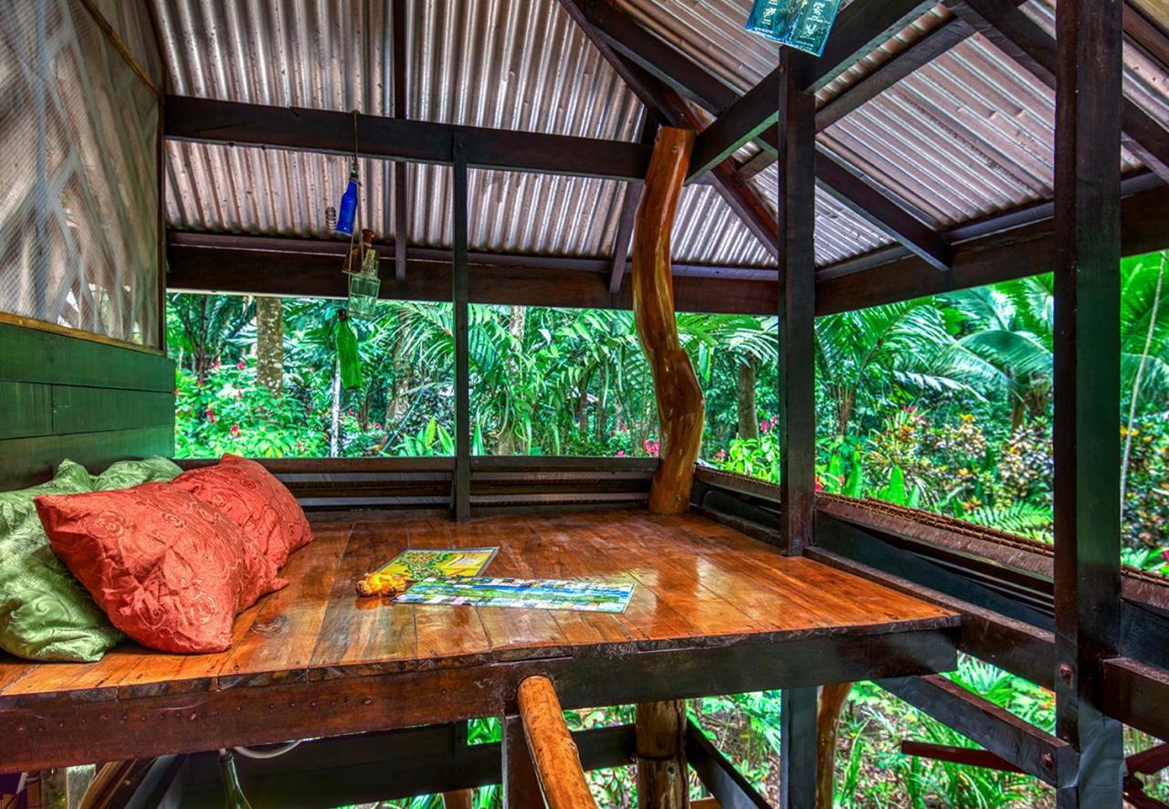 Congo Bongo Ecovillage Costa Rica Puerto Viejo de Talamanca المظهر الخارجي الصورة
