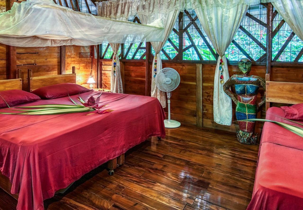 Congo Bongo Ecovillage Costa Rica Puerto Viejo de Talamanca المظهر الخارجي الصورة