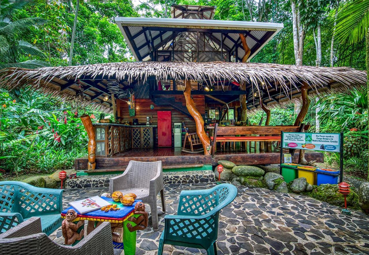 Congo Bongo Ecovillage Costa Rica Puerto Viejo de Talamanca المظهر الخارجي الصورة