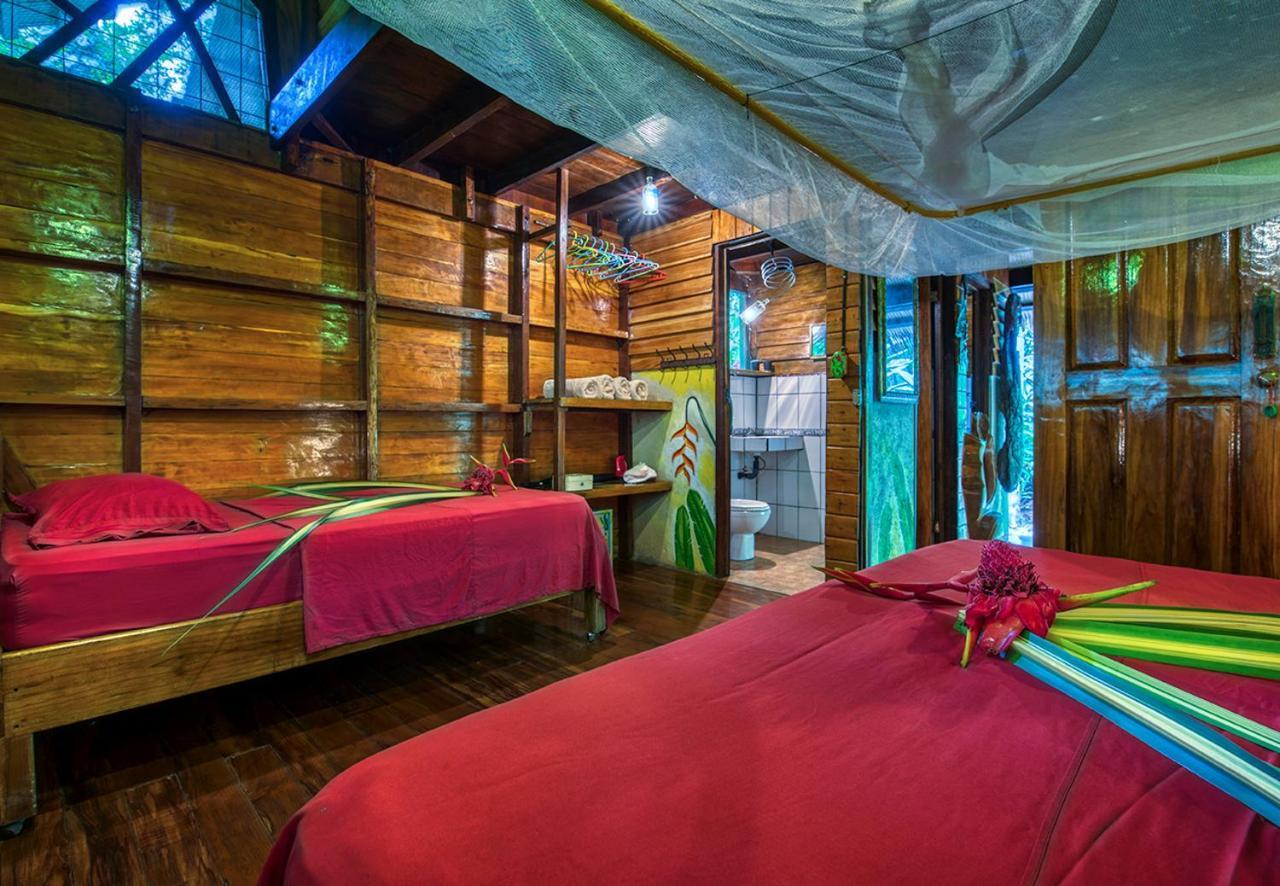 Congo Bongo Ecovillage Costa Rica Puerto Viejo de Talamanca المظهر الخارجي الصورة