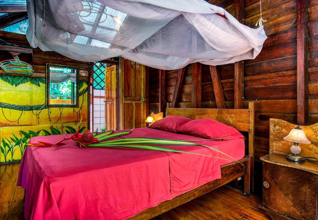 Congo Bongo Ecovillage Costa Rica Puerto Viejo de Talamanca المظهر الخارجي الصورة
