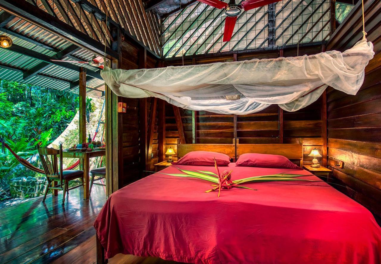 Congo Bongo Ecovillage Costa Rica Puerto Viejo de Talamanca المظهر الخارجي الصورة