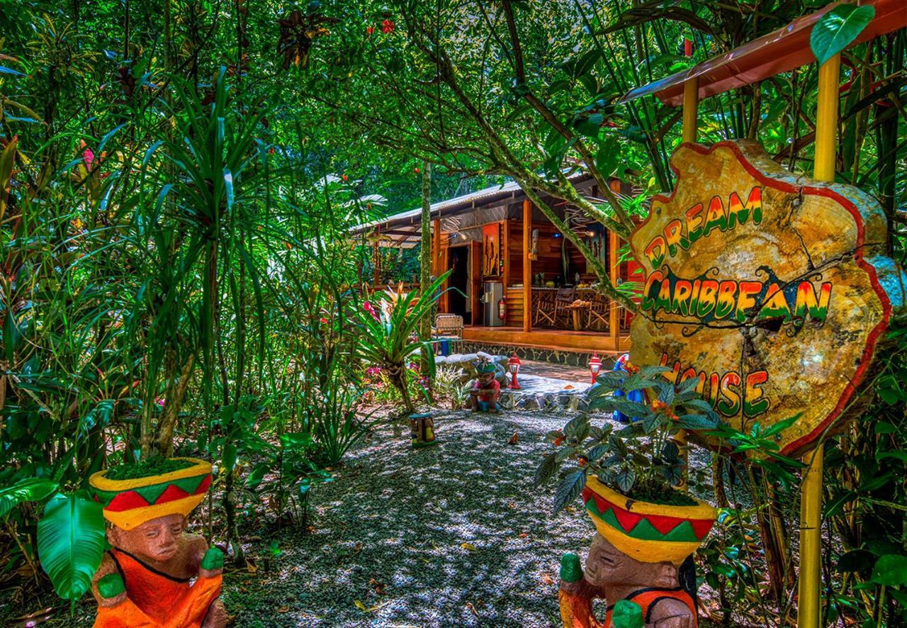 Congo Bongo Ecovillage Costa Rica Puerto Viejo de Talamanca المظهر الخارجي الصورة