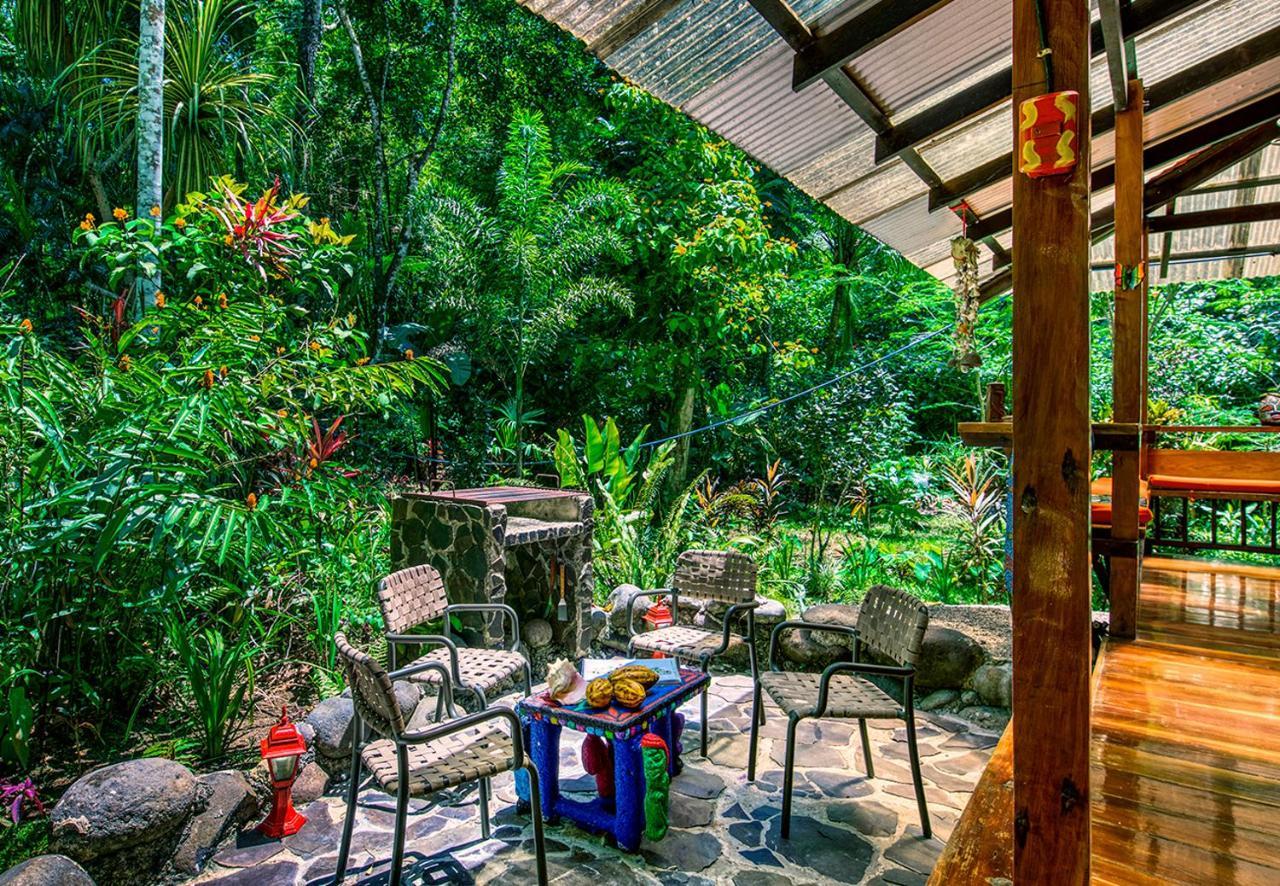 Congo Bongo Ecovillage Costa Rica Puerto Viejo de Talamanca المظهر الخارجي الصورة