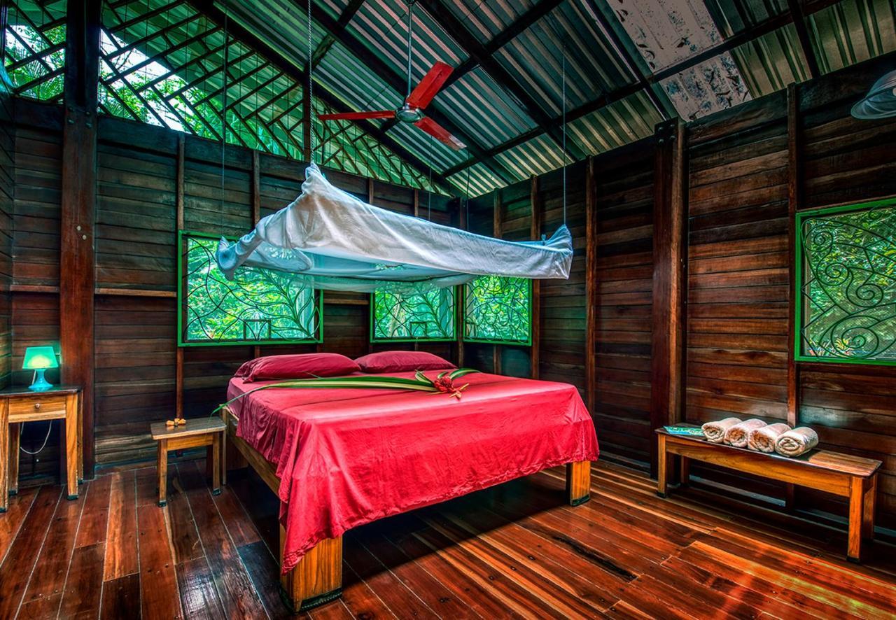 Congo Bongo Ecovillage Costa Rica Puerto Viejo de Talamanca المظهر الخارجي الصورة