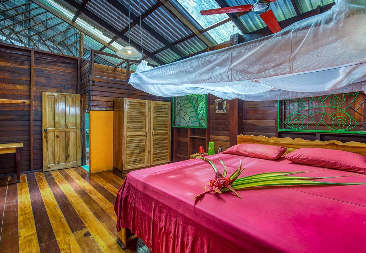 Congo Bongo Ecovillage Costa Rica Puerto Viejo de Talamanca المظهر الخارجي الصورة