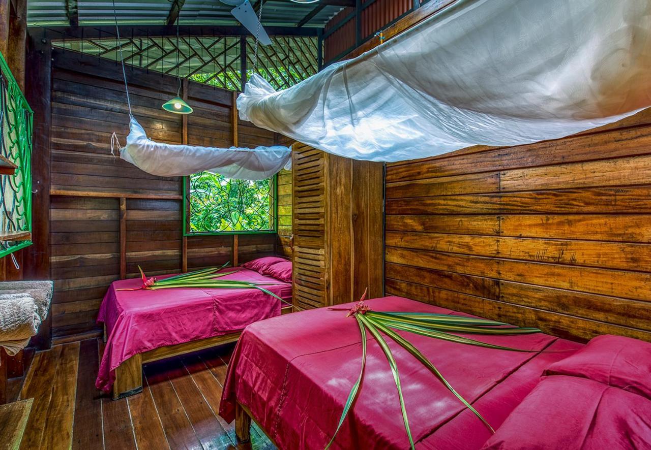 Congo Bongo Ecovillage Costa Rica Puerto Viejo de Talamanca المظهر الخارجي الصورة