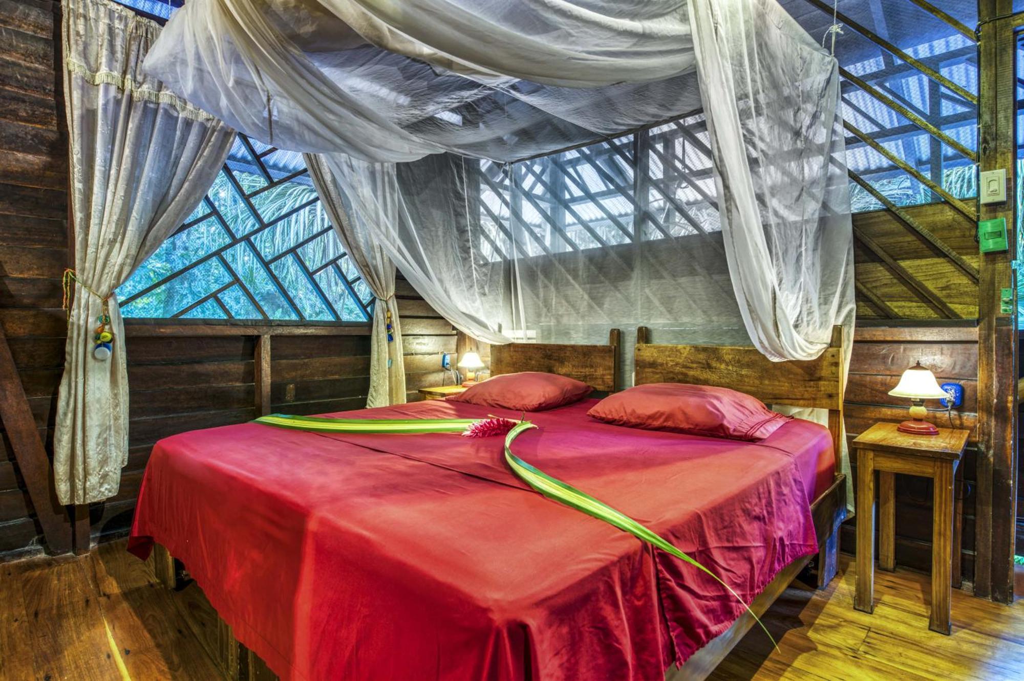 Congo Bongo Ecovillage Costa Rica Puerto Viejo de Talamanca المظهر الخارجي الصورة